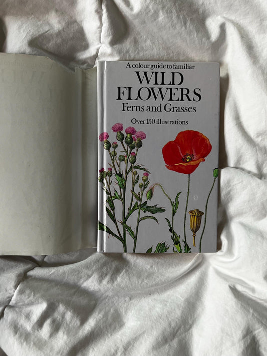 A Colour Guide to Familiar Wild Flowers, Ferns and Grasses | Housewarming Gift | ShopEleanorLouise