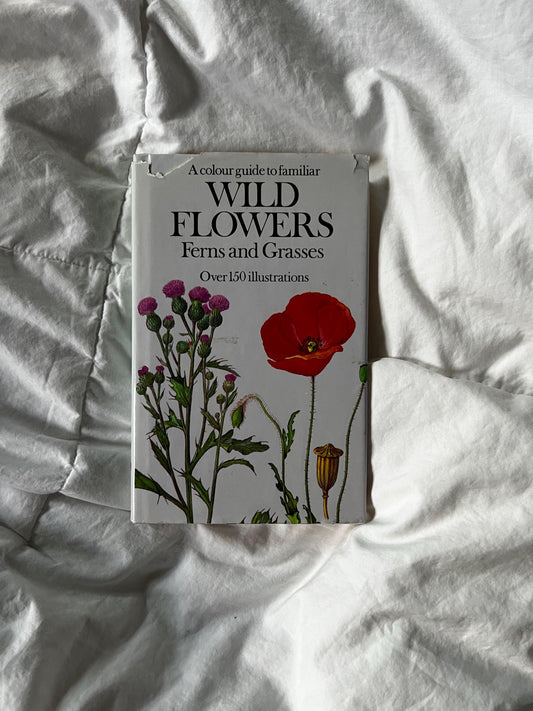 A Colour Guide to Familiar Wild Flowers, Ferns and Grasses | Housewarming Gift | ShopEleanorLouise