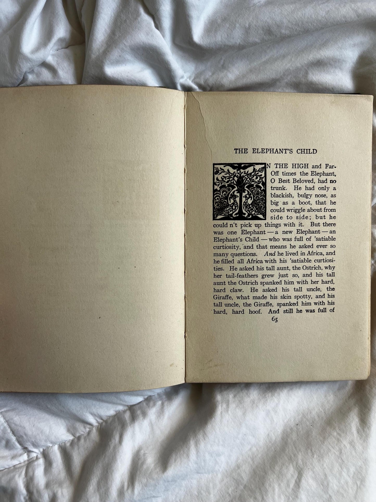 1907 Hardcover - Just So Stories For Little Children by Rudyard Kipling | Antique Collectible Books | ShopEleanorLouise